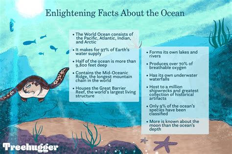 11 Enlightening Facts About The Ocean