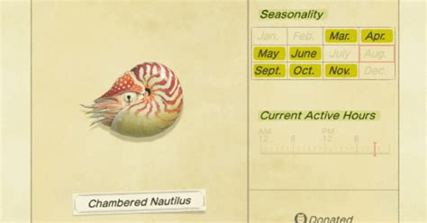 The Chambered Nautilus Chambered Nautilus 2022 11 01