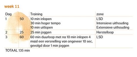 The long run is one of the most iconic training sessions out there. Trainingsschema 10 km lopen | NN Running club ...