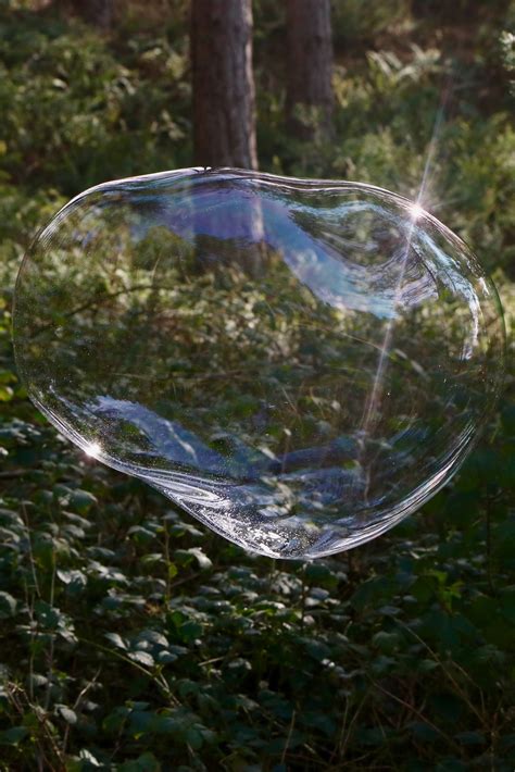 Bubbles in Nature | Giant bubbles, Bubbles, Wooden wand