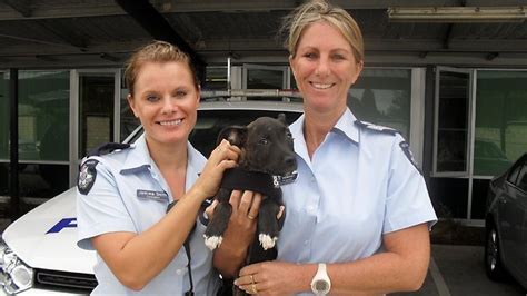 Springvale Police Charge Two Over Dog Theft From Keysborough Animal