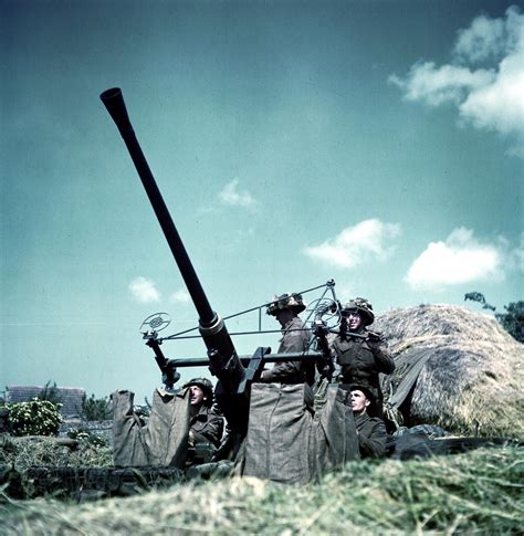 Canadian Soldiers Manning A 40 Mm Bofors Anti Aircraft Gun In Normandy