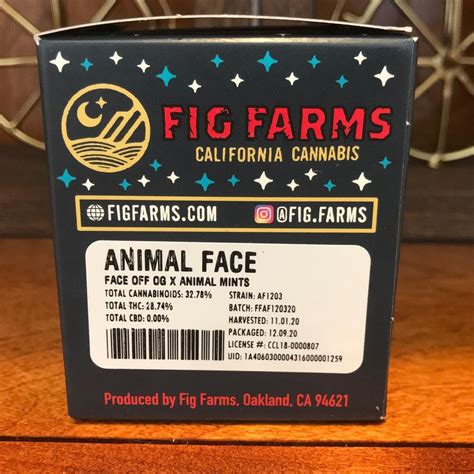 Strain Review Animal Face By Fig Farms The Highest Critic