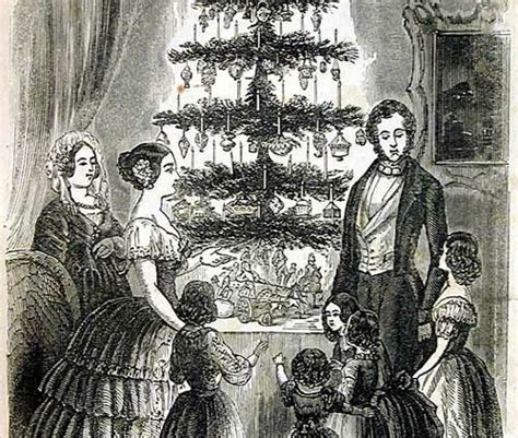 The History Of Christmas Trees In North America Natures Packaging