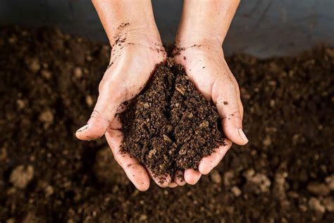 How To Improve Clay Soil Better Homes And Gardens