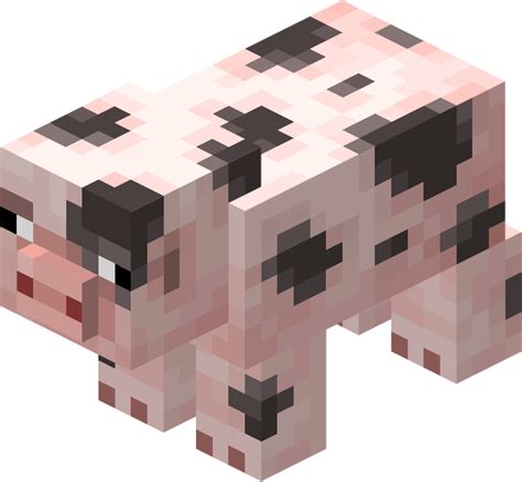Image Spotted Pigpng Minecraft Wiki