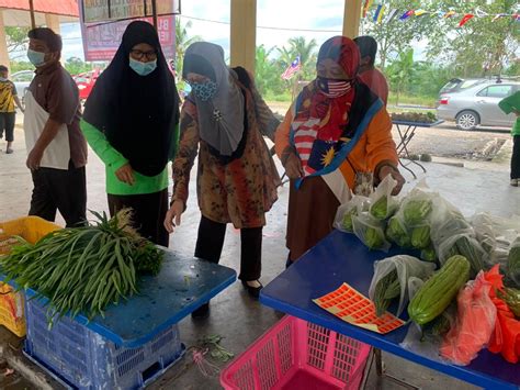 Hal itu menjadi sorotan kementerian perdagangan malaysia. Sayuran di Taman Pengeluaran Makanan Kekal licin dijual ...