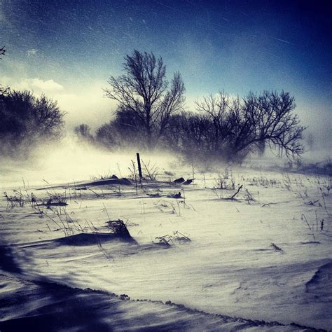 Wind Blowing Snow Across A Field Photograph By Danielle Donders