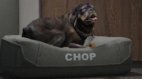 Gta 5 Chop Dog