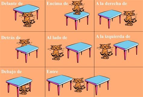 dónde está el gato Spanish basics Spanish prepositions Teaching spanish