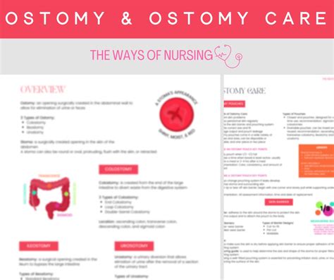 Ostomy And Ostomy Care Nursing Student 2 Pages Study Guide Etsy
