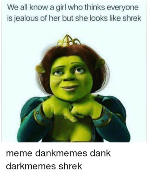 Pin By Derpy Burger On Shrek Memes Princess Fiona Shrek Shrek Funny