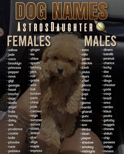 𝐚𝐬𝐭𝐫𝐨𝐬𝐝𝐚𝐮𝐠𝐡𝐭𝐞𝐫🦋 In 2020 Cute Names For Dogs Dog Names Pet Names