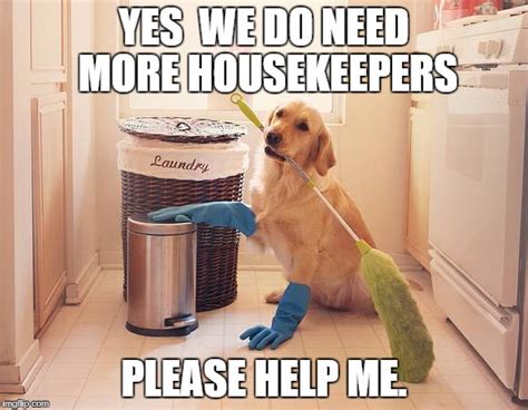 Cleaning Memes That Will Make Your Day The Maids Clea