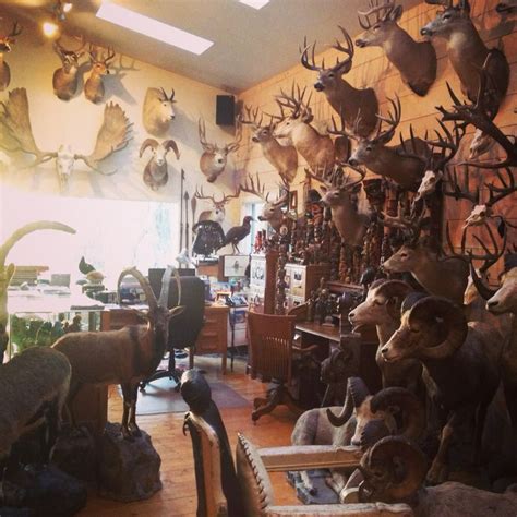 Man Cave Trophy Rooms Deer Hunting Decor Hunting Decor