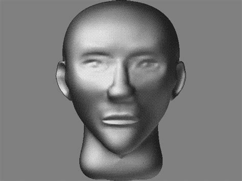 Wip Human Head Zbrushcentral