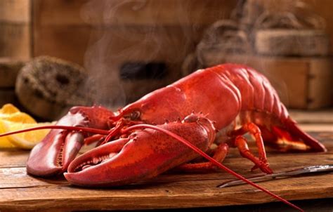 Firstly, if it's a bit wonky and lopsided, so what? 3 Simple Ways to Cook Lobster at Home - The Manual | The ...