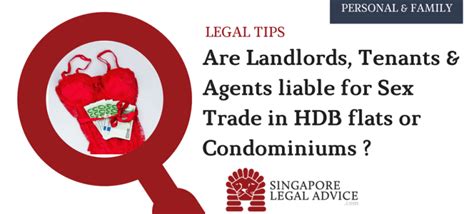 Are Landlords Tenants And Agents Liable For Sex Trade In Hdb Flats