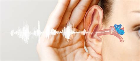 A test is done to determine whether the asset's book value should be reduced to the current market value and to report the. Symptoms of Hearing Loss - Do you aware this happen to you ...