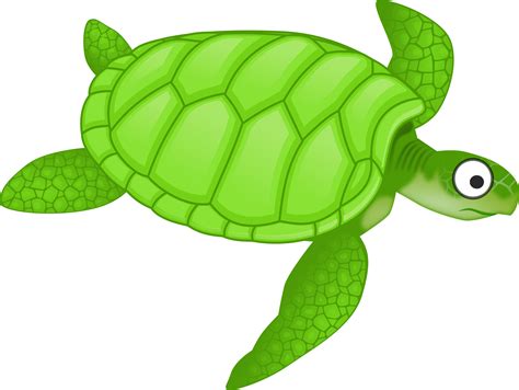 Clipart Cartoon Turtle