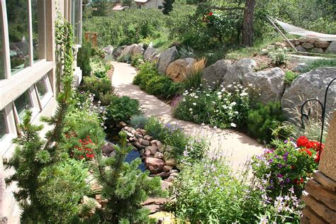 Benefits Of Native Plants And Xeriscape In Colorado Landscape Design