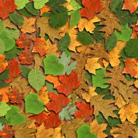 Pin By 🌈vonnie🦄 Davis🌈 On Scrapbook Seasons Autumn Thanksgiving Color