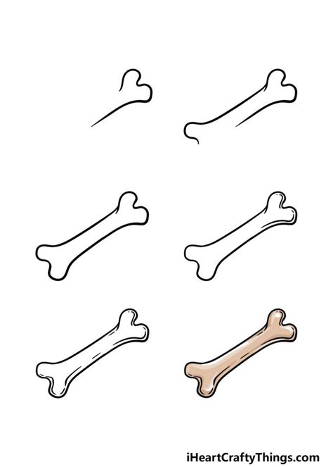 How To Draw A Bone A Step By Method Step Guide Khoa
