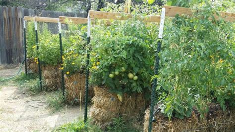 Straw Bale Gardening Instructions And How It Works Countryside