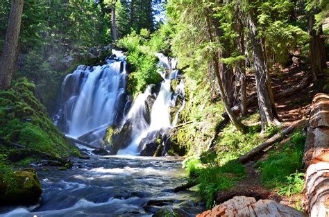 National Creek Falls Waterfall Near Crater Lake Ashland Daily Photo