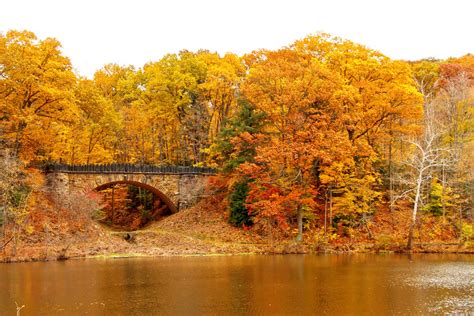 Bridge In Autumn Forest Free Stock Photo Public Domain