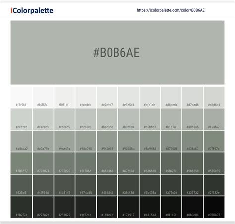 Pantone 15 5704 Tpg Mineral Gray Color Hex Color Code B0b6ae