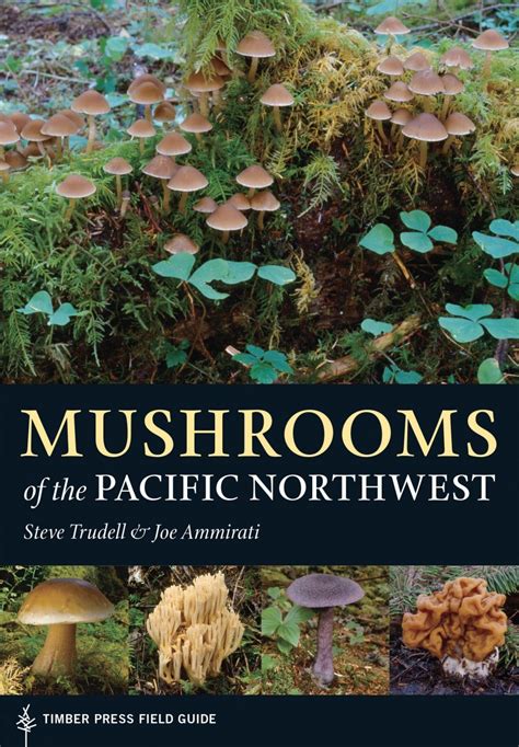 Mushrooms Of The Pacific Northwest Nhbs Field Guides And Natural History