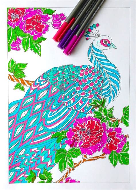 Princess and peacock coloring pages for kids. Step by step coloring: Peacock feathers - The Coloring ...