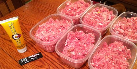 Raw cat food take 1 meat portion and add 1 x 425g tin of tuna (drained) and 1 x 125g of sardines (drained and chopped) and mix until all combined store in the fridge. Easy Raw Dog Food Recipe- Homemade Dog Food