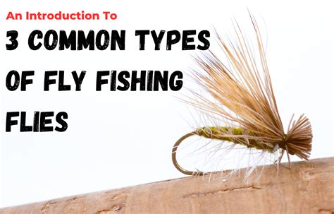 An Introduction To 3 Commons Types Of Fly Fishing Flies Kirks