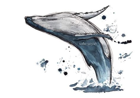 Humpback Whale Breach Sofie Seyah Illustration Indigo Ink Etsy Whale