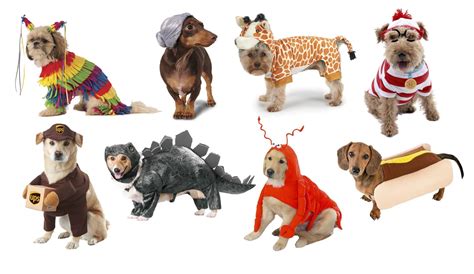 Halloween Los 20 Mejores Disfraces Para Perros