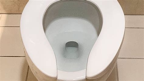 Reason Public Bathrooms Have Different Toilet Seats Revealed Gold