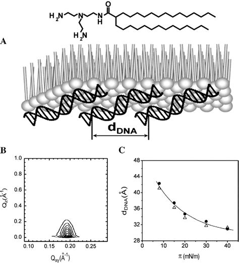 Figure From Langmuir Monolayers As Models To Study Processes At