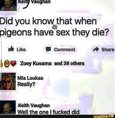 Did You Know That When Pigeons Have Sex They Die Like Comment Share