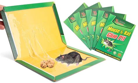 Up To 77 Off On Extra Large Mouse Glue Traps Groupon Goods