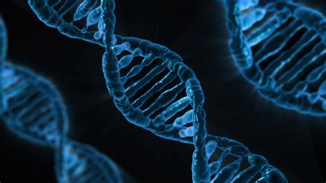 Structure Of Dna Free Stock Photo Public Domain Pictures