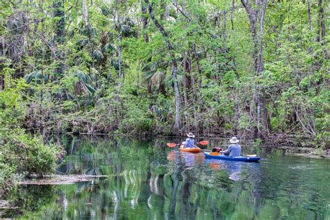 The Best Things To Do In Silver Springs State Park Florida