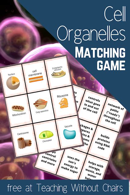 Free Cell Organelles Matching Game Perfect For Homeschool And Classes