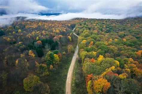 How To Find The Best Fall Foliage In Pa Wild Precious Now