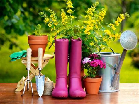 Basic Gardening Tools For Beginners A List Of Must Haves