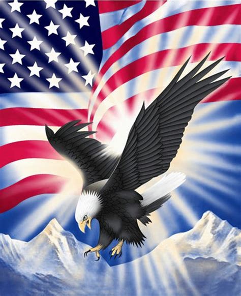 44 Bald Eagle American Flag Wallpapers Wallpapersafari