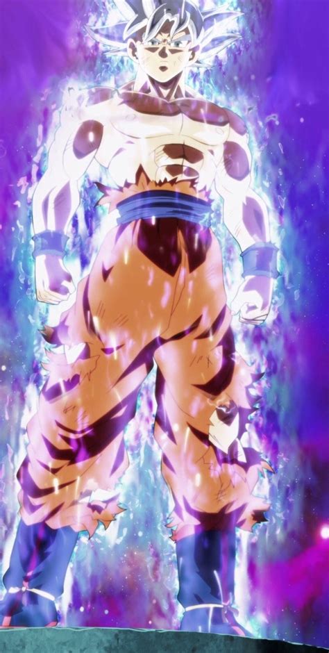 While the form was dubbed ultra instinct by the two deities, goku is unable to sustain the form for extended periods, since the physical stress of pushing his body above its natural. Image - Ultra Instinct Goku Full Body.jpg | Dragon Ball ...
