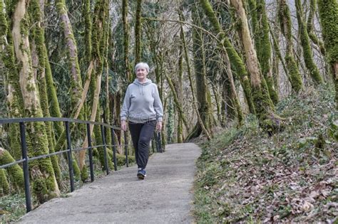 Senior Woman Walking Along Tourist Trail In Relic Forest Stock Image