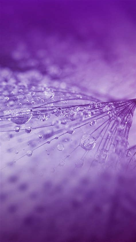 Nature Rrain Drop Flower Purple Pattern Iphone 8 Wallpapers Free Download